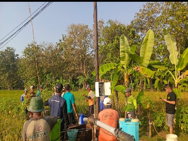 Cegah Hama Wereng, Dispertakan Kab. Madiun Lakukan Gerdal Dan Beri Bantuan Obat-Obatan